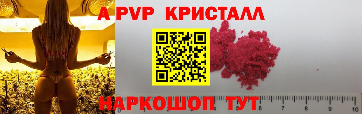 APVP крисы CK  Alpha-PVP крисы CK  Шали  А ПВП кристаллы  Вход с VPN 
