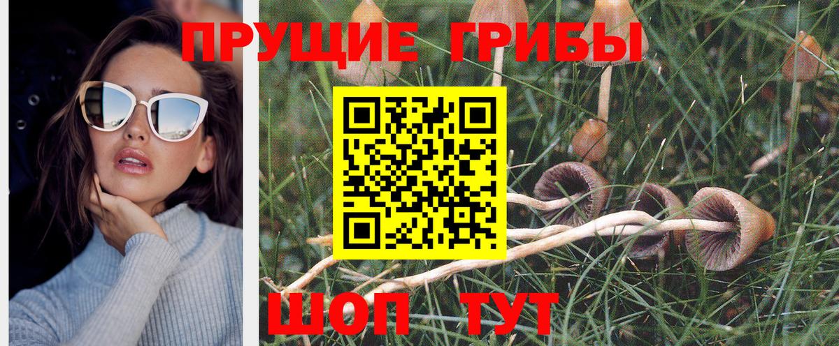 Галлюциногенные грибы GOLDEN TEACHER Шали